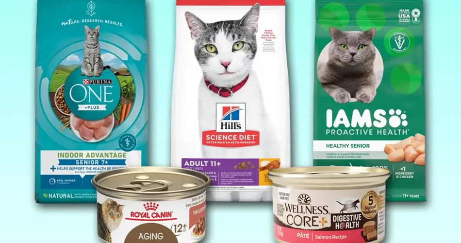 Top Cat Food Brands Recommended by Veterinarians