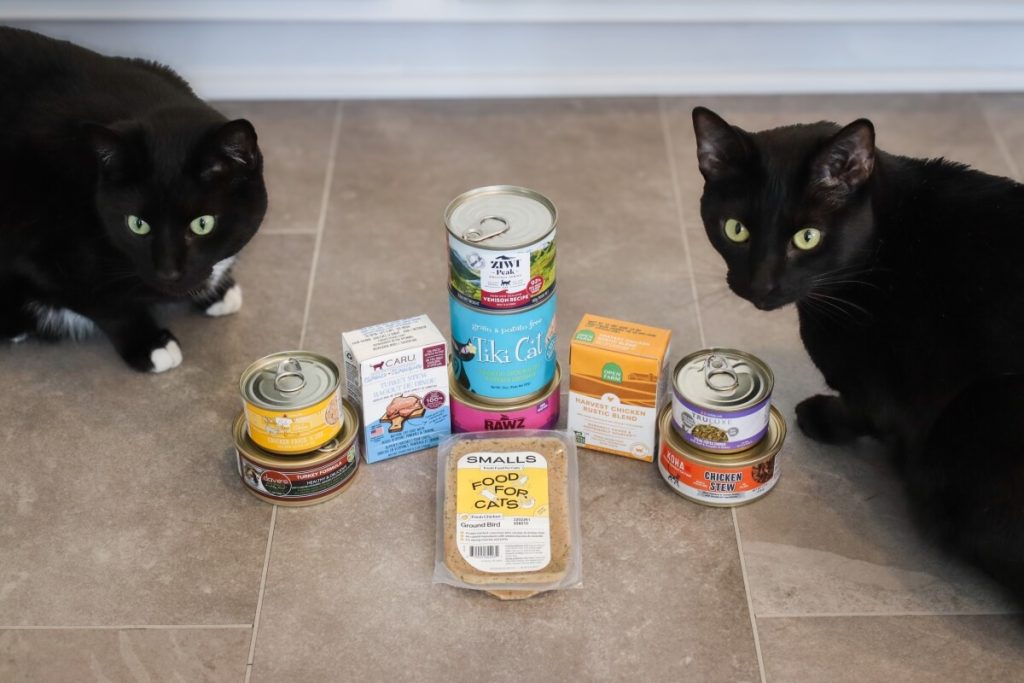 Budget-Friendly Cat Foods That Don’t Compromise on Quality