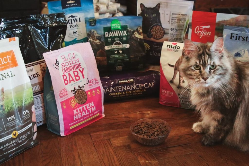 Top Cat Foods for a Healthier, Happier Feline