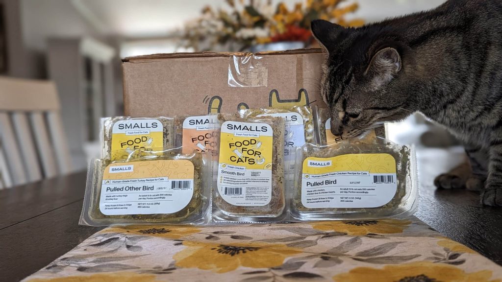 The Best Cat Foods for Cats with Sensitive Stomachs